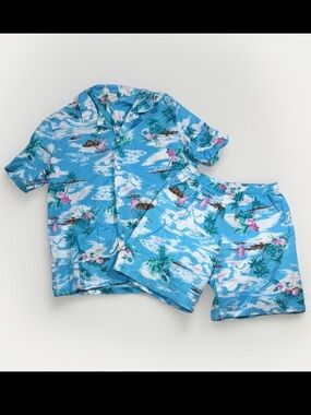 Vintage Mens Hawaiian Button Down Shirt and Shorts Set Size Large Tropical 80's